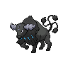 Tauros-Paldea-Aqua