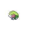 Shaymin-land