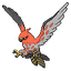 Talonflame
