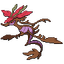 Dragalge