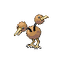 Doduo