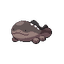 Clodsire
