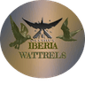 Iberia Wattrels