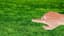 Grass Graspers