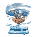 Hague Hitmontops
