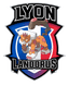 Lyon Landorus