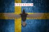 Stockholm Staraptors